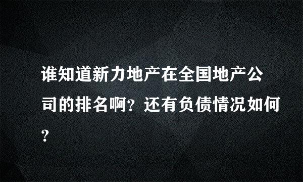 谁知道新力地产在全国地产公司的排名啊？还有负债情况如何？