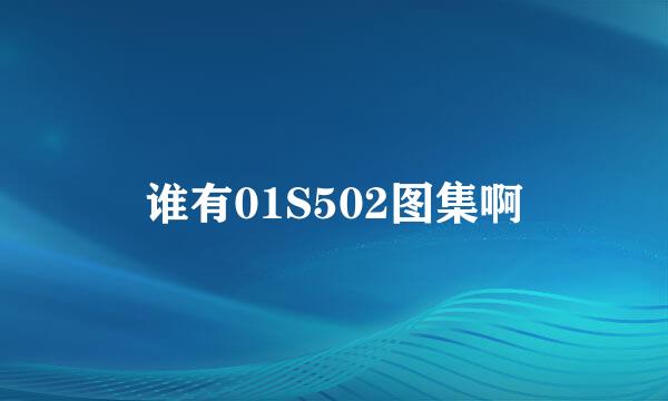 谁有01S502图集啊