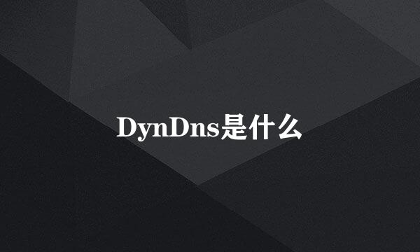 DynDns是什么