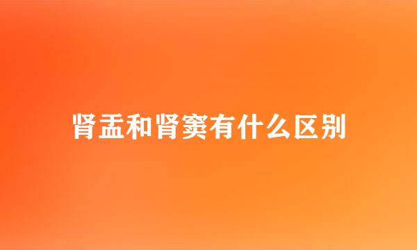 肾盂和肾窦有什么区别