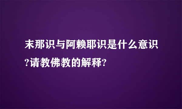 末那识与阿赖耶识是什么意识?请教佛教的解释?