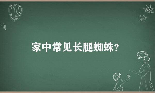 家中常见长腿蜘蛛？