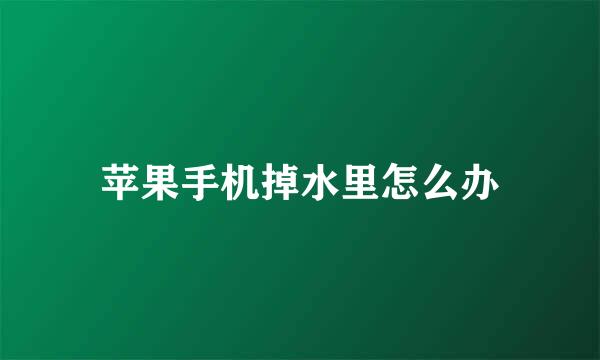 苹果手机掉水里怎么办