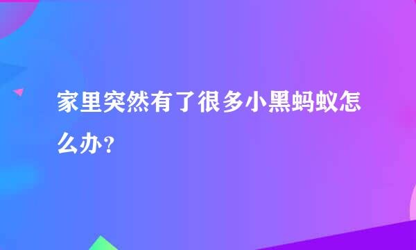 家里突然有了很多小黑蚂蚁怎么办？