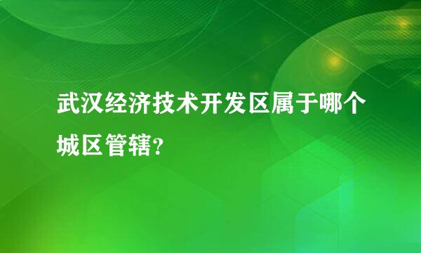 武汉经济技术开发区属于哪个城区管辖？