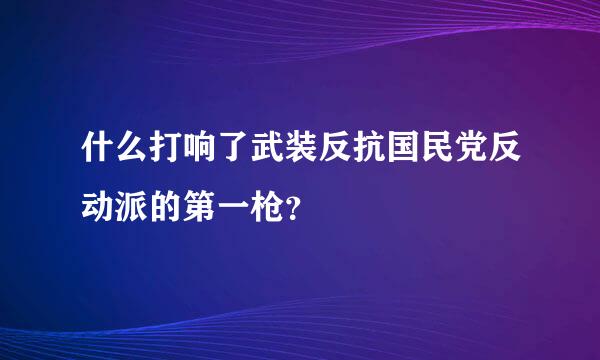 什么打响了武装反抗国民党反动派的第一枪？