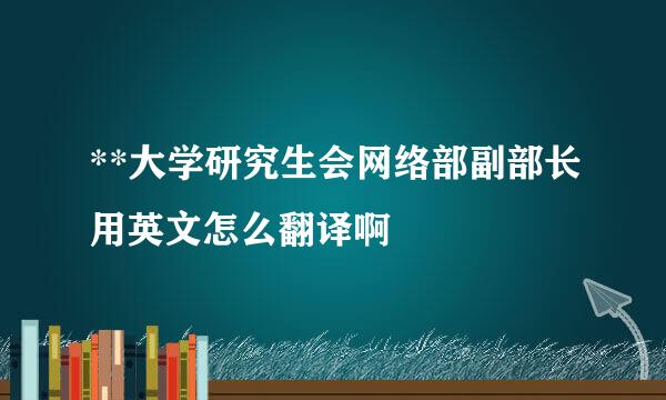 **大学研究生会网络部副部长用英文怎么翻译啊