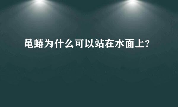 黾蝽为什么可以站在水面上?