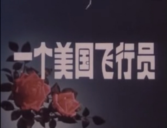 求分享一个美国飞行员(1980)张勤道主演的网盘资源链接或者下载方法