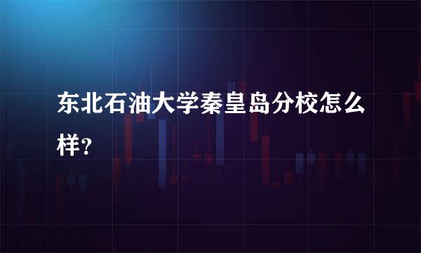 东北石油大学秦皇岛分校怎么样？