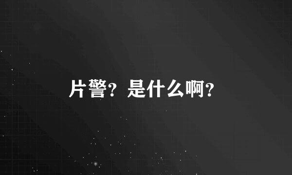 片警？是什么啊？