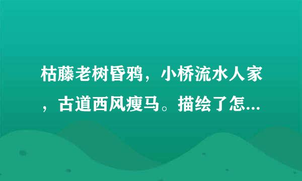 枯藤老树昏鸦，小桥流水人家，古道西风瘦马。描绘了怎样一幅画面。