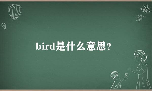 bird是什么意思？