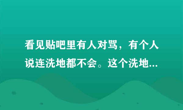 看见贴吧里有人对骂，有个人说连洗地都不会。这个洗地是什么意思?还有洗白又是什么意思?