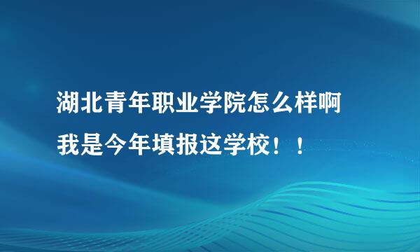 湖北青年职业学院怎么样啊 我是今年填报这学校！！