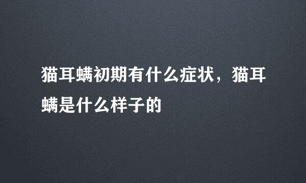 猫耳螨初期有什么症状，猫耳螨是什么样子的