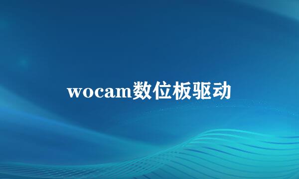 wocam数位板驱动