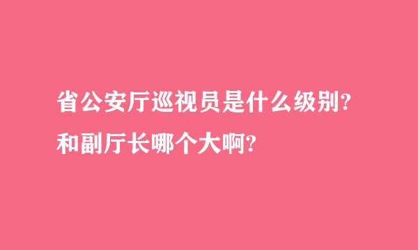 省公安厅巡视员是什么级别?和副厅长哪个大啊?