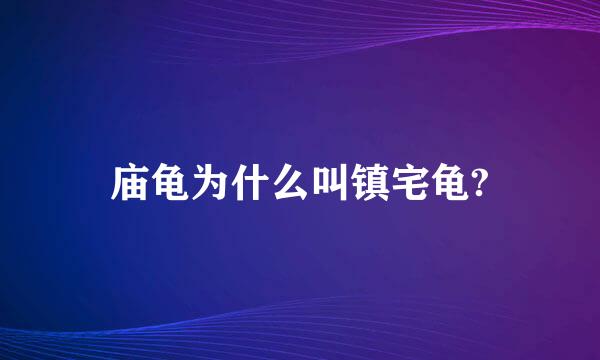 庙龟为什么叫镇宅龟?