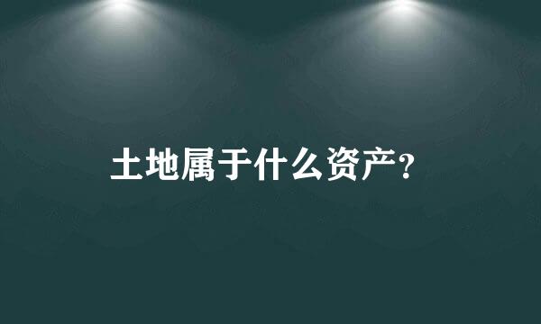 土地属于什么资产？