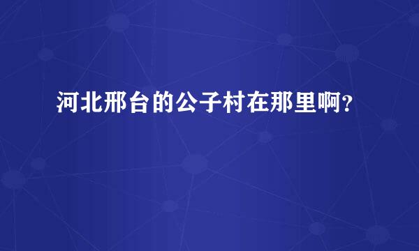 河北邢台的公子村在那里啊？