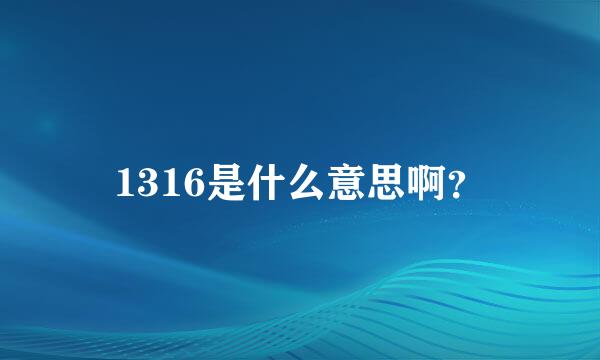 1316是什么意思啊？