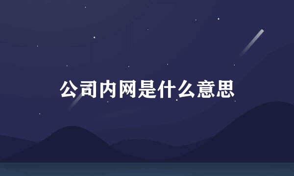 公司内网是什么意思