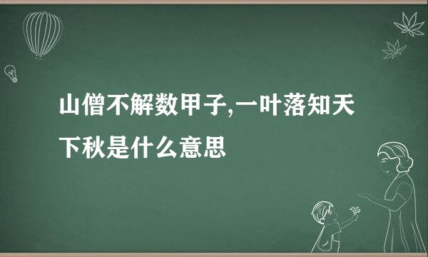 山僧不解数甲子,一叶落知天下秋是什么意思