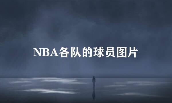 NBA各队的球员图片