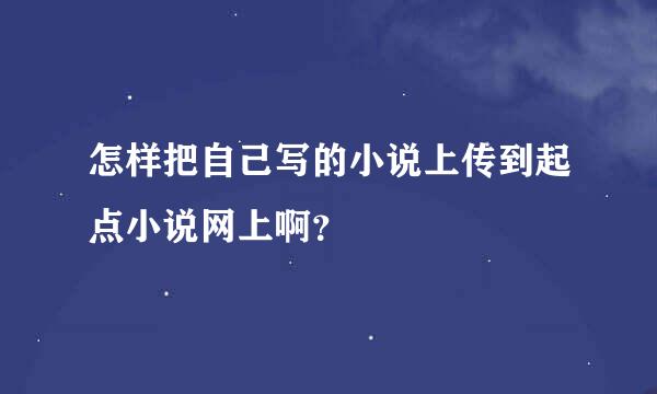 怎样把自己写的小说上传到起点小说网上啊？