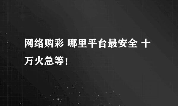 网络购彩 哪里平台最安全 十万火急等！