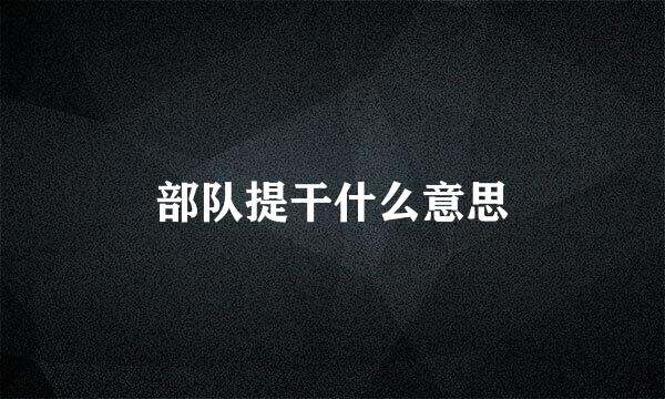 部队提干什么意思