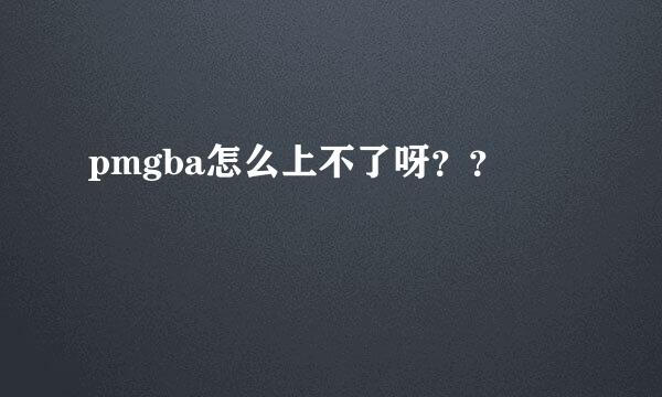 pmgba怎么上不了呀？？