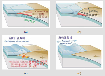 什么是海啸？海啸的发生过程是什么？