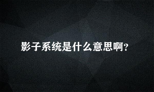 影子系统是什么意思啊？