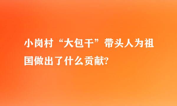 小岗村“大包干”带头人为祖国做出了什么贡献?