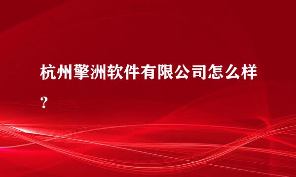 杭州擎洲软件有限公司怎么样？