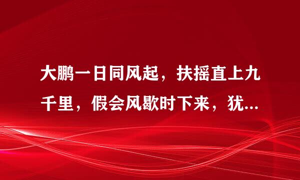 大鹏一日同风起，扶摇直上九千里，假会风歇时下来，犹能巅缺沧溟水 的意思是什么啊？？？？？？