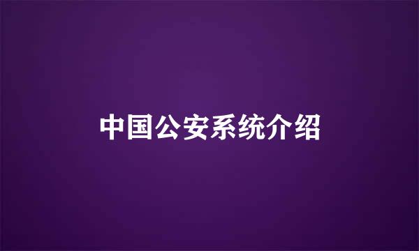 中国公安系统介绍