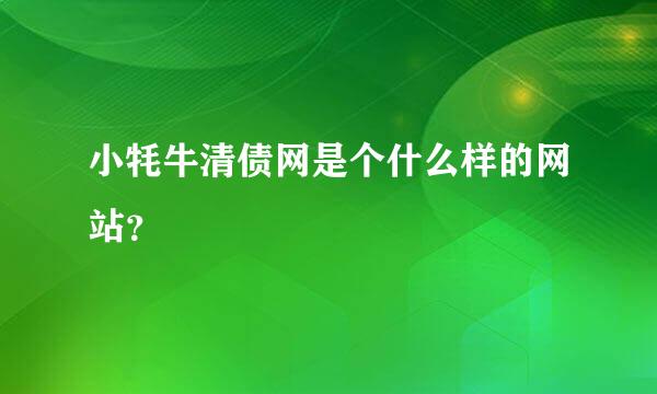 小牦牛清债网是个什么样的网站？