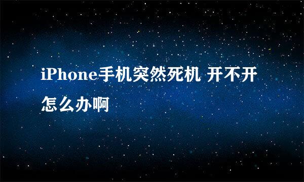 iPhone手机突然死机 开不开 怎么办啊