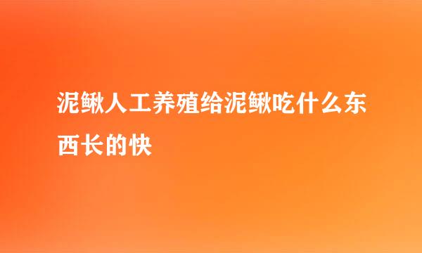 泥鳅人工养殖给泥鳅吃什么东西长的快