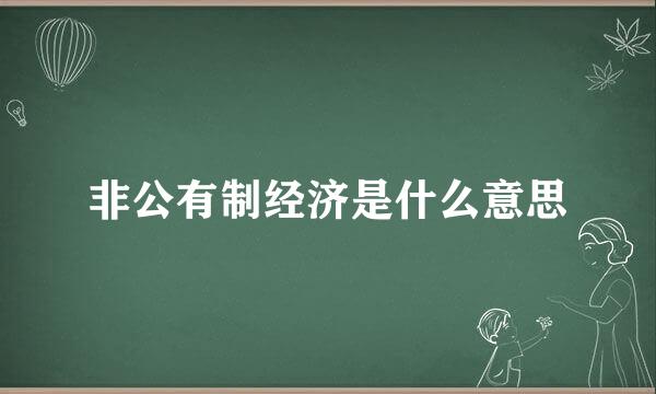 非公有制经济是什么意思