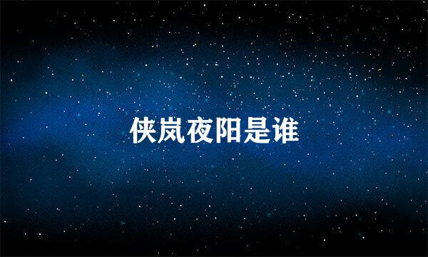 侠岚夜阳是谁