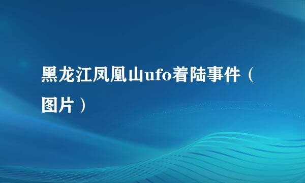 黑龙江凤凰山ufo着陆事件（图片）