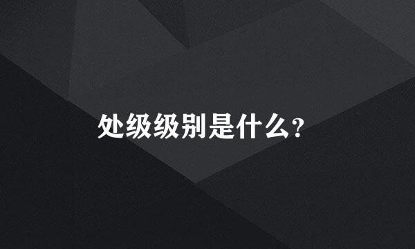 处级级别是什么？