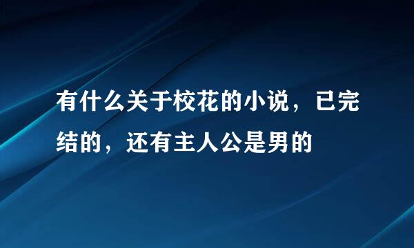 有什么关于校花的小说，已完结的，还有主人公是男的