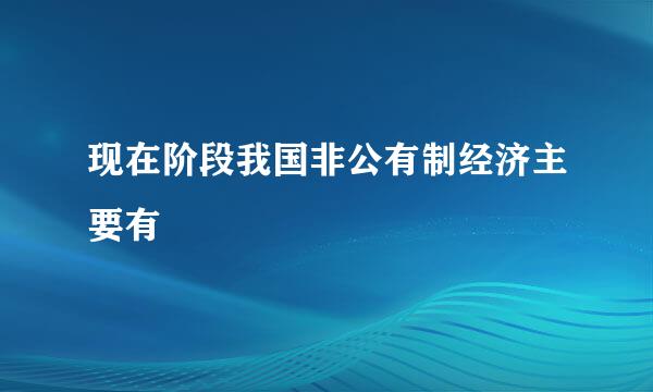 现在阶段我国非公有制经济主要有