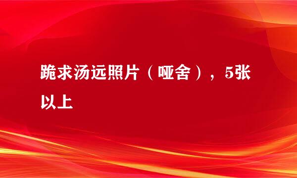 跪求汤远照片（哑舍），5张以上