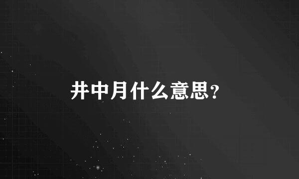 井中月什么意思？